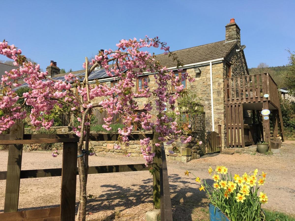 Tunnel Cottages At Blaen-Nant-Y-Groes Farm Aberdare Exterior foto
