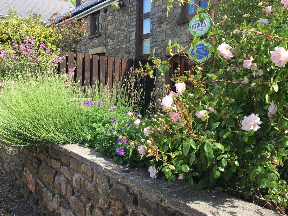Tunnel Cottages At Blaen-Nant-Y-Groes Farm Aberdare Cameră foto