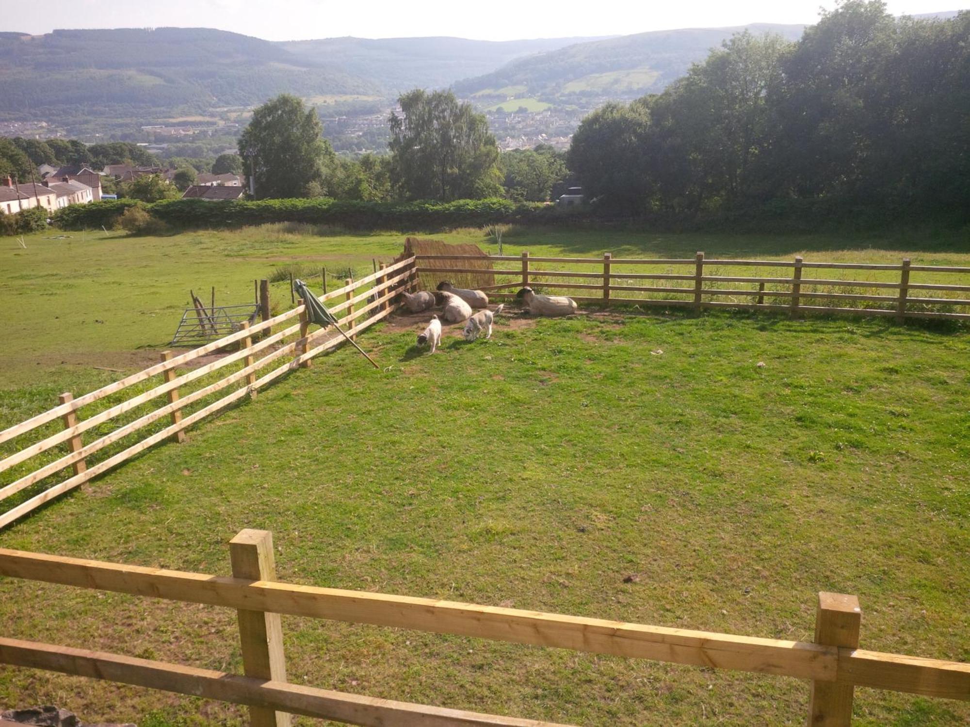 Tunnel Cottages At Blaen-Nant-Y-Groes Farm Aberdare Cameră foto